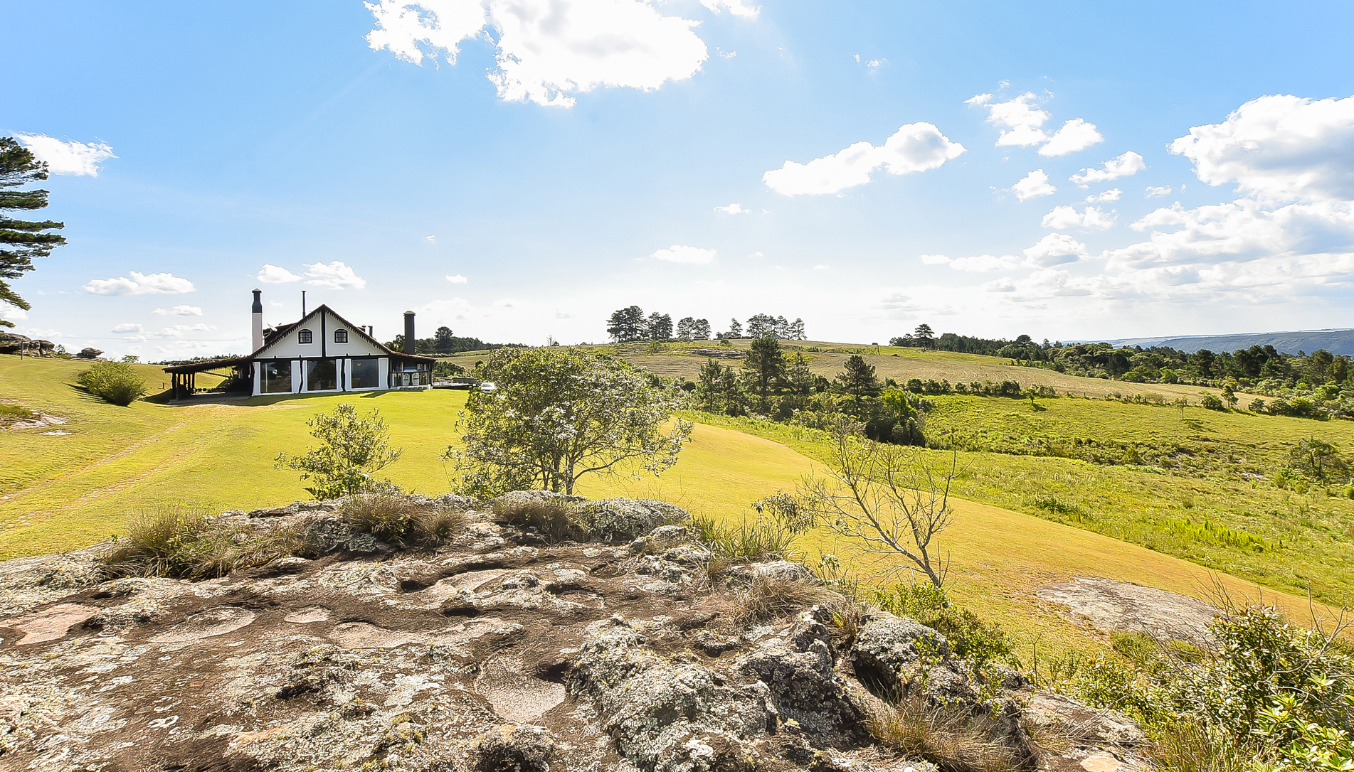 Fazenda Purunã Visite São Luiz do Purunã Fazenda Purunã Visite São Luiz do Purunã
