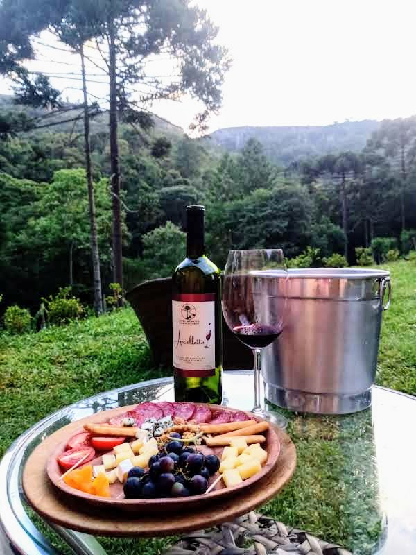 O-Wine-Garden-com-uma-das-degustacoes